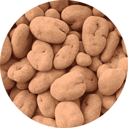 Chocolade Pecannoten Truffels