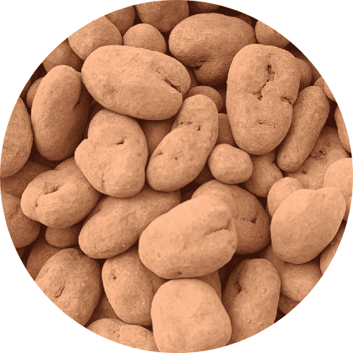 Chocolade Pecannoten Truffels