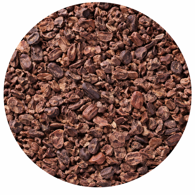 Cacao nibs