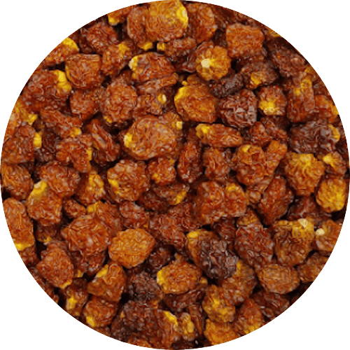 Inca bessen (Physalis) 